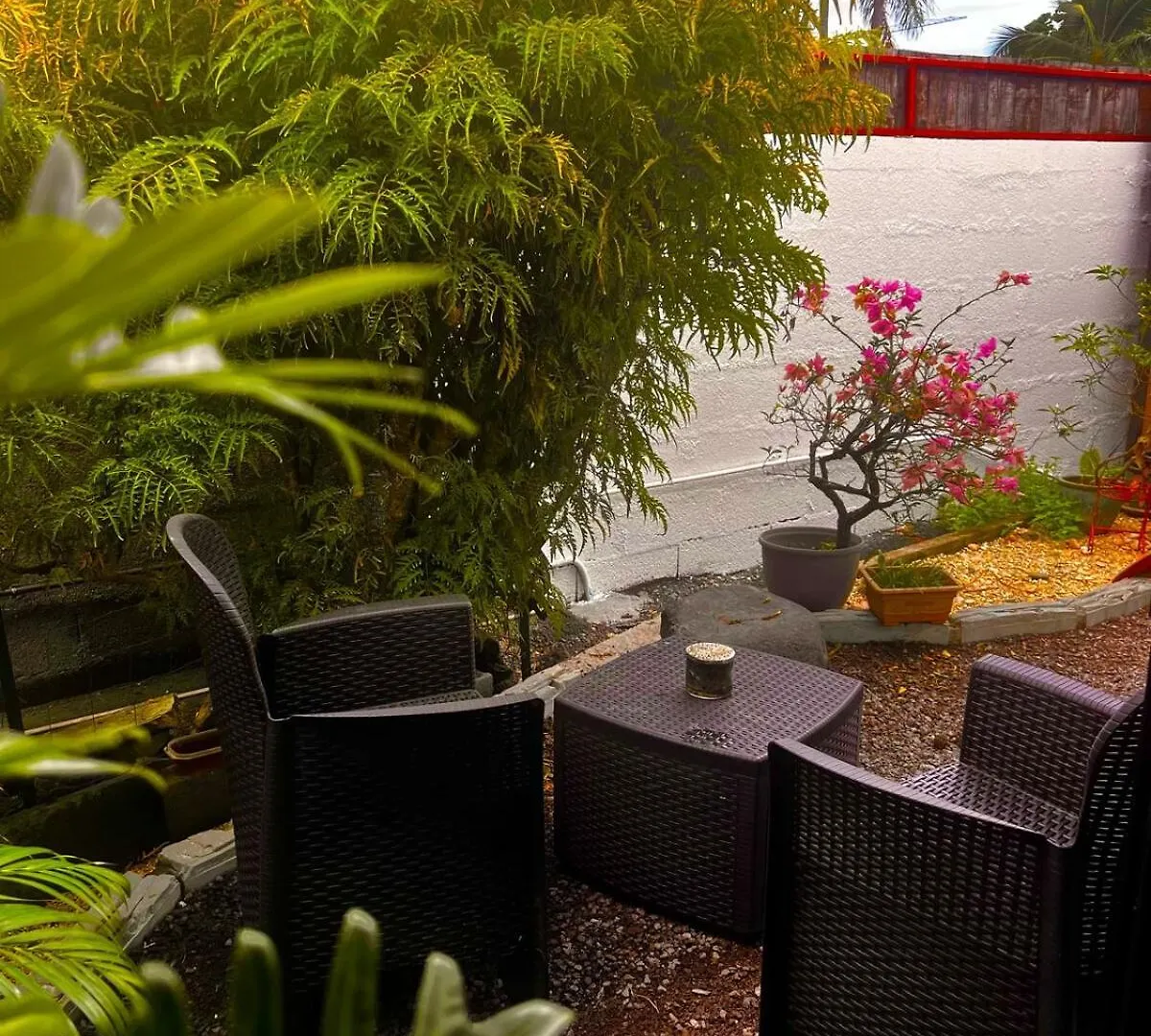 Studio Mohui Rbnb Punaauia